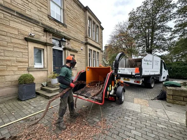 A tree surgeon in safety gear feeding branches into an orange wood chipper connected to a Stephen Paul Landscaping truck.