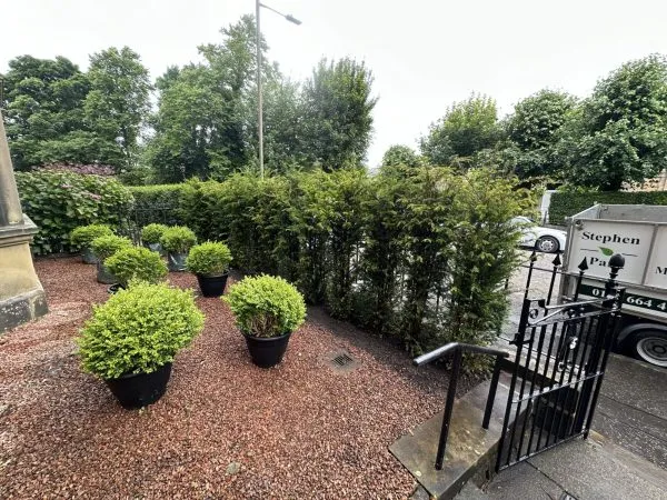 Potted topiary shrubs arranged on decorative red gravel near a black metal railing, with a Stephen Paul Landscaping trailer nearby.